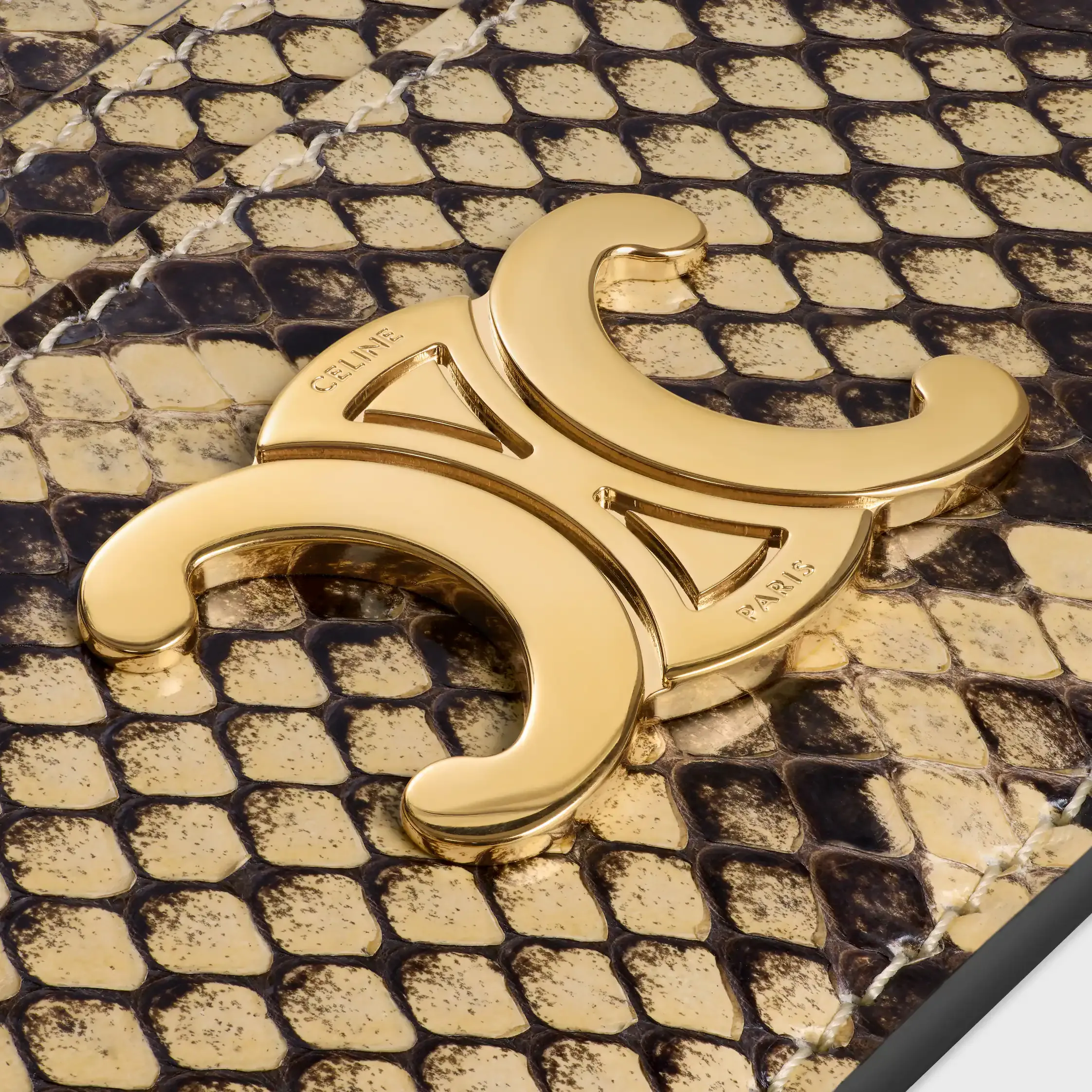KORTHÅLLARE TRIOMPHE I PYTHON